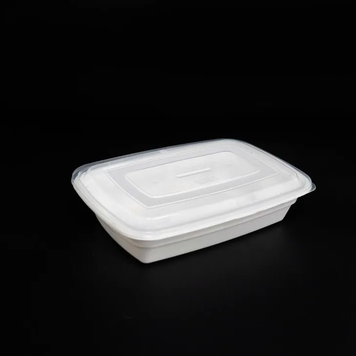 Recipiente pentru alimente de unică folosință - ideale pentru catering la birou și livrarea prânzului
