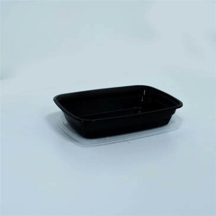 Disposable Meal Boxes with Lids - Perfect for Food Delivery Services (2) Disposable Meal Boxes with Lids - Perfect for Food Delivery Services (2)