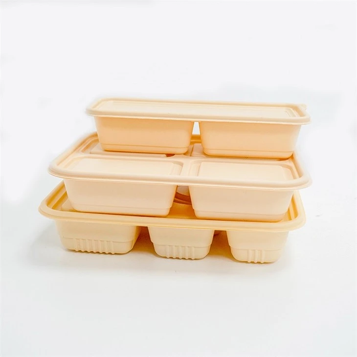 Green Biodegradable Lunch Boxes - For a Sustainable Future (4)